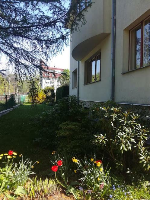 Hradiska Apartment Jablonne nad Orlici Exterior photo